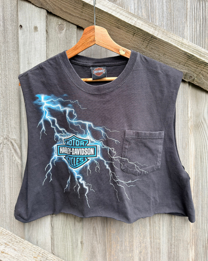 Harley Davidson Crop (2012)